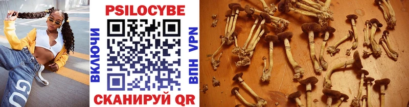 Галлюциногенные грибы прущие грибы  darknet наркотические препараты  Сельцо  ссылка на мегу маркетплейс 